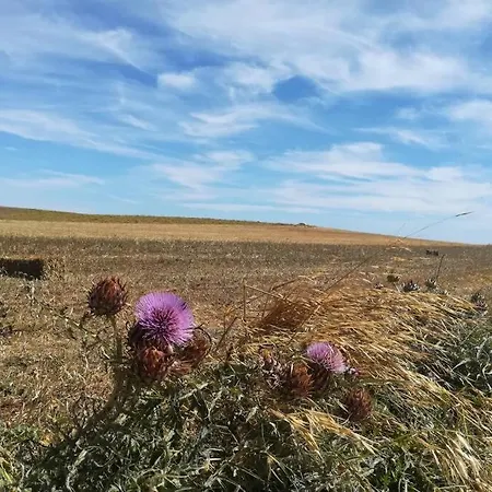 Vakantiehuis Casa Flores Vila do Bispo