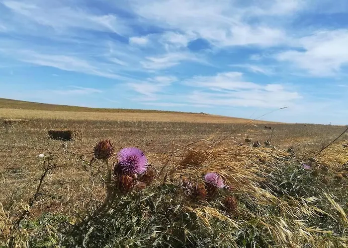 Prázdninový dům Casa Flores Vila do Bispo